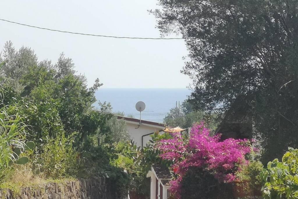 Villa Cilento Mare, Bellissima Con Ampio Giardino Capitello Eksteriør billede