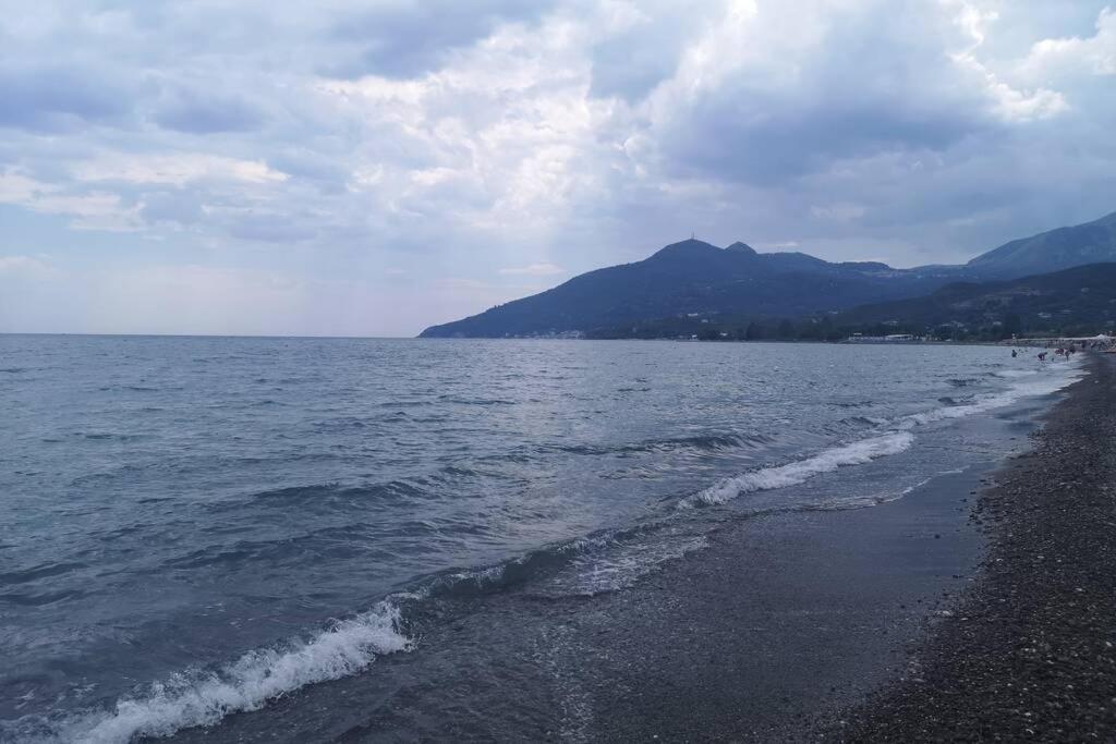 Villa Cilento Mare, Bellissima Con Ampio Giardino Capitello Eksteriør billede