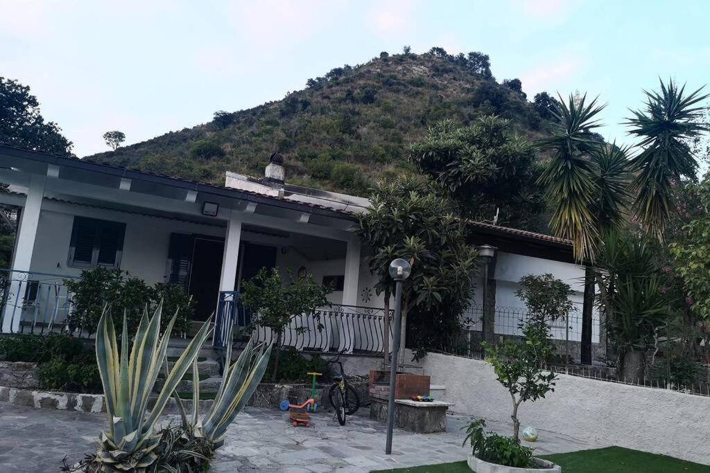 Villa Cilento Mare, Bellissima Con Ampio Giardino Capitello Eksteriør billede